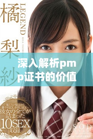 深入解析pmp证书的价值与获取方法与技巧