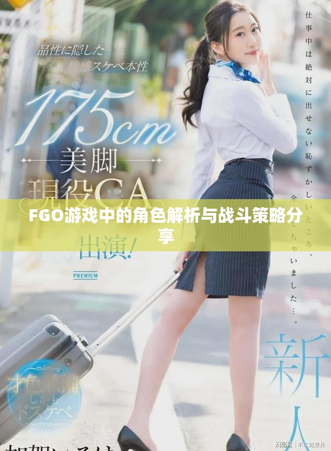 FGO游戏中的角色解析与战斗策略分享
