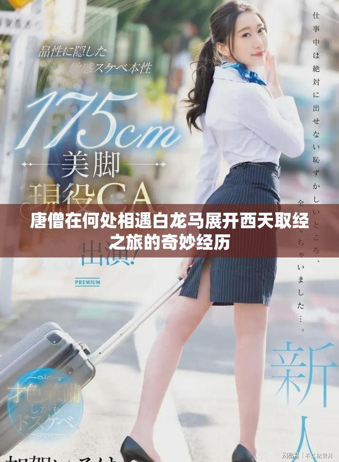 唐僧在何处相遇白龙马展开西天取经之旅的奇妙经历