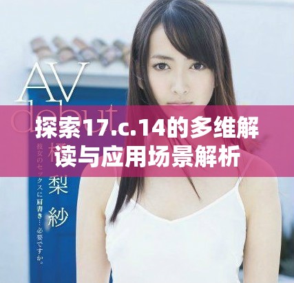 探索17.c.14的多维解读与应用场景解析
