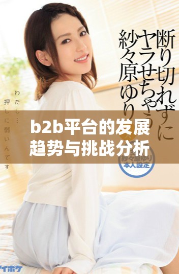 b2b平台的发展趋势与挑战分析，如何应对未来市场变化带来的机遇