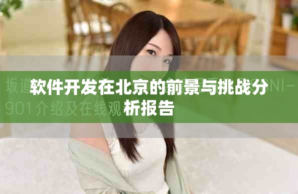 软件开发在北京的前景与挑战分析报告