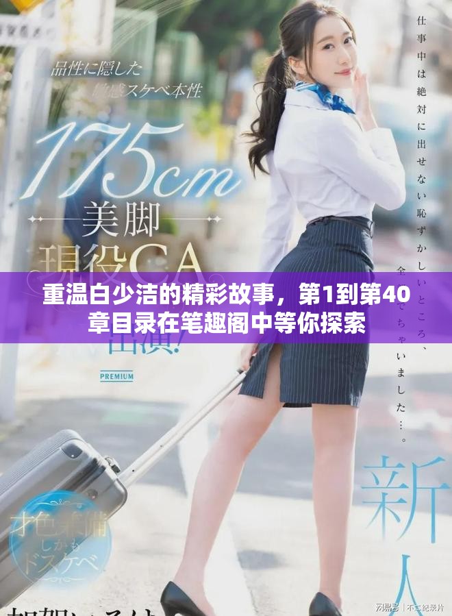 重温白少洁的精彩故事，第1到第40章目录在笔趣阁中等你探索