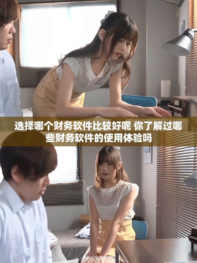 选择哪个财务软件比较好呢 你了解过哪些财务软件的使用体验吗
