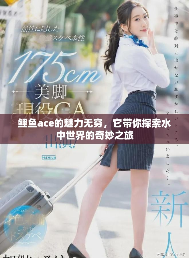 鲤鱼ace的魅力无穷，它带你探索水中世界的奇妙之旅
