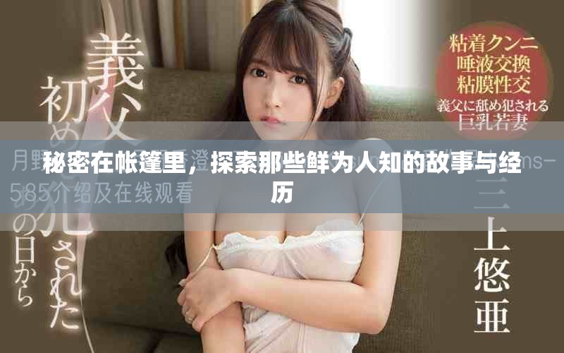 秘密在帐篷里，探索那些鲜为人知的故事与经历