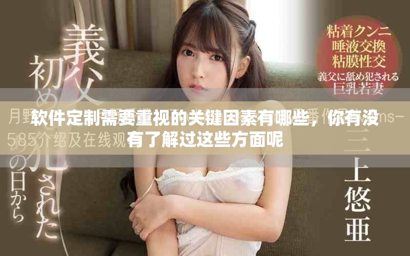 软件定制需要重视的关键因素有哪些，你有没有了解过这些方面呢