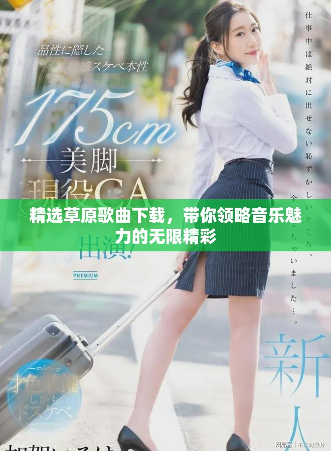 精选草原歌曲下载，带你领略音乐魅力的无限精彩