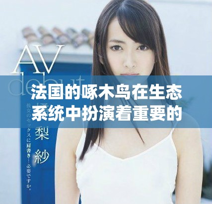 法国的啄木鸟在生态系统中扮演着重要的角色