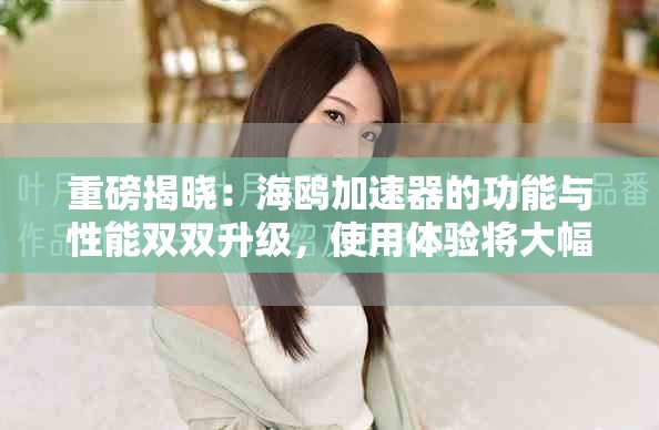 重磅揭晓：海鸥加速器的功能与性能双双升级，使用体验将大幅提升