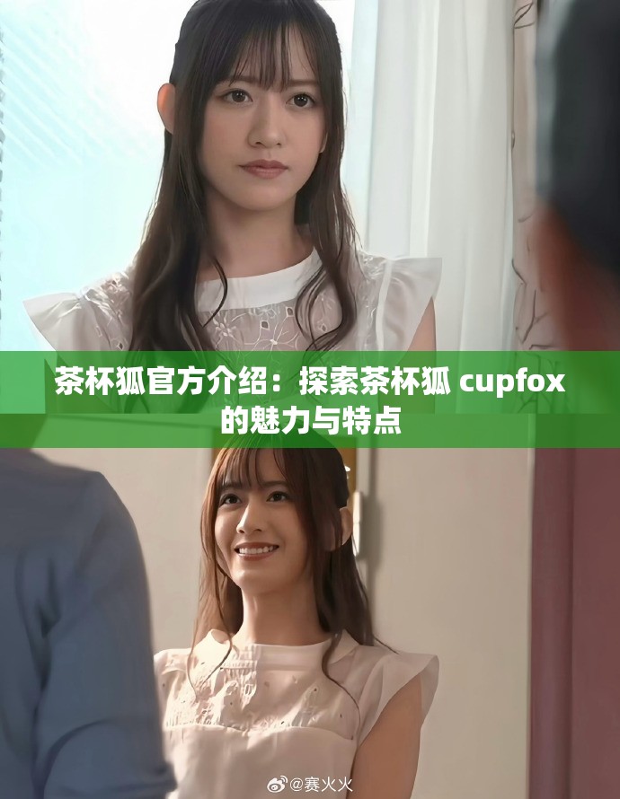 茶杯狐官方介绍：探索茶杯狐 cupfox的魅力与特点