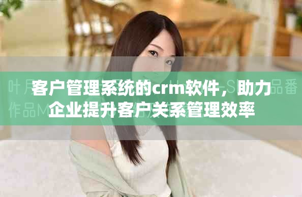 客户管理系统的crm软件，助力企业提升客户关系管理效率
