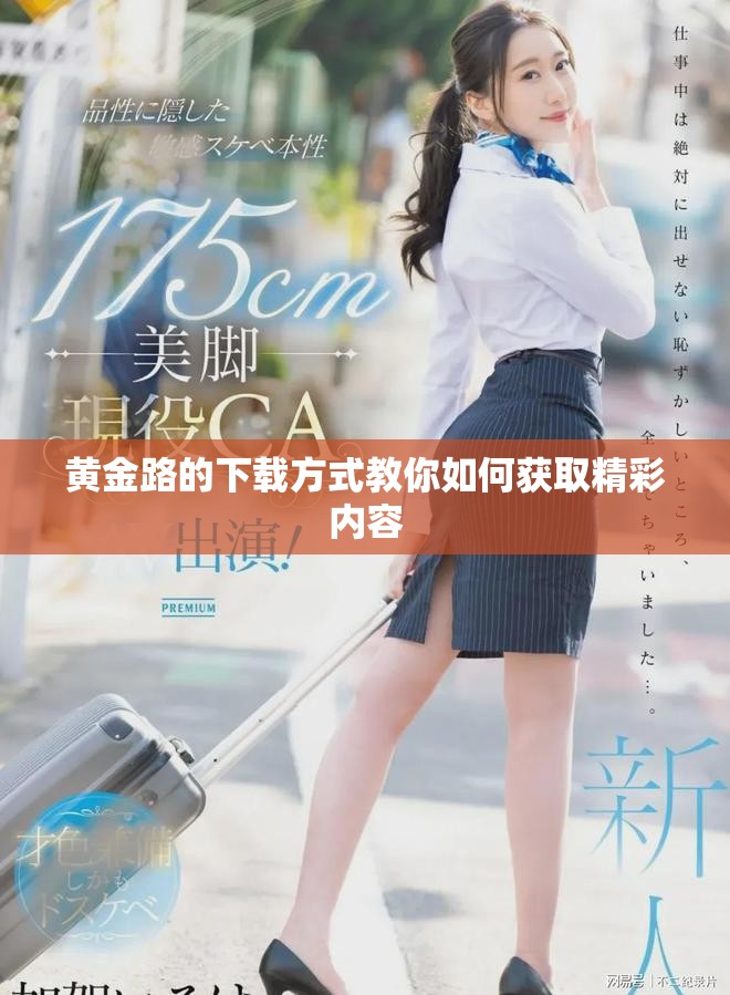 黄金路的下载方式教你如何获取精彩内容