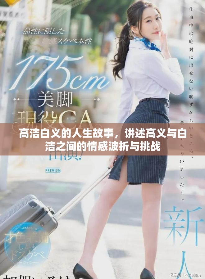 高洁白义的人生故事，讲述高义与白洁之间的情感波折与挑战