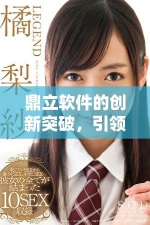 鼎立软件的创新突破，引领行业发展新风潮