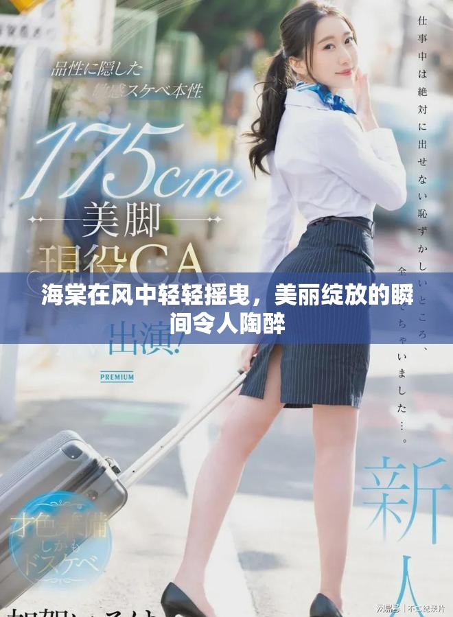 海棠在风中轻轻摇曳，美丽绽放的瞬间令人陶醉