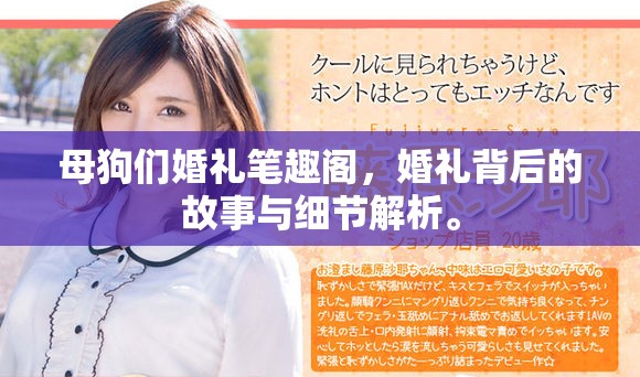 母狗们婚礼笔趣阁，婚礼背后的故事与细节解析。