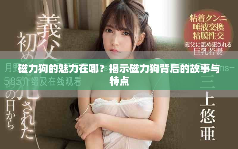 磁力狗的魅力在哪？揭示磁力狗背后的故事与特点