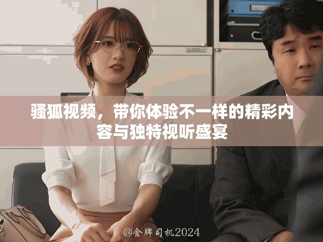 骚狐视频，带你体验不一样的精彩内容与独特视听盛宴