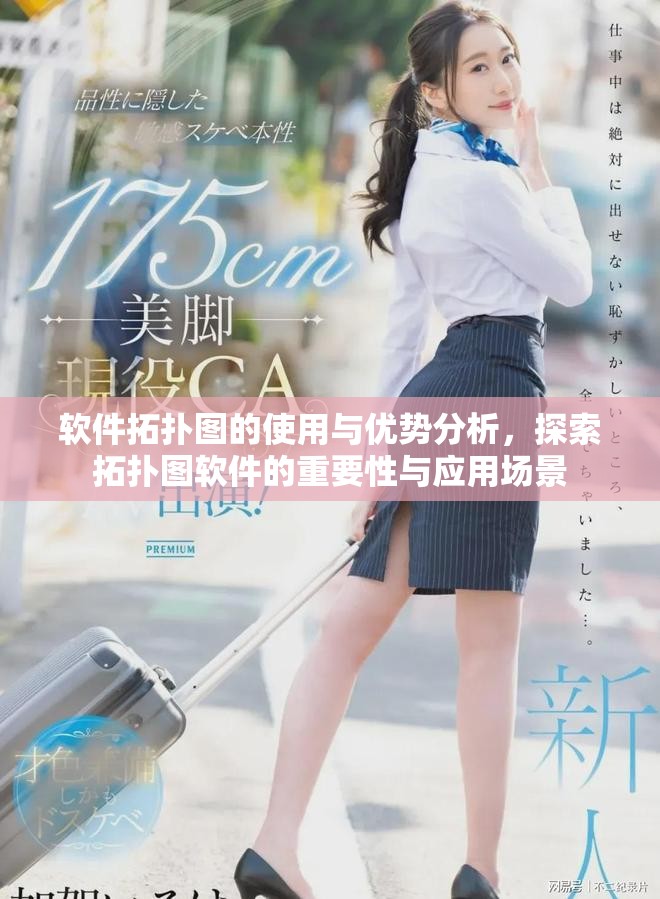 软件拓扑图的使用与优势分析，探索拓扑图软件的重要性与应用场景