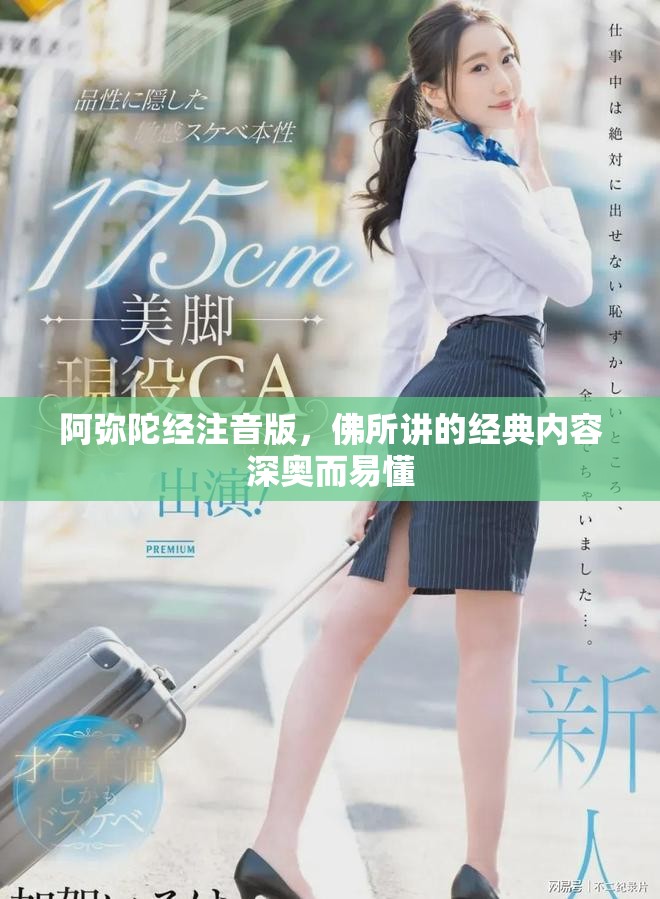 阿弥陀经注音版，佛所讲的经典内容深奥而易懂