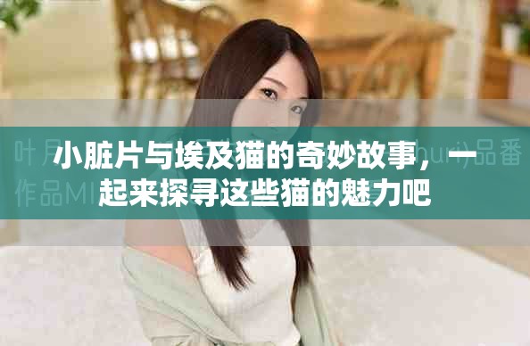 小脏片与埃及猫的奇妙故事，一起来探寻这些猫的魅力吧