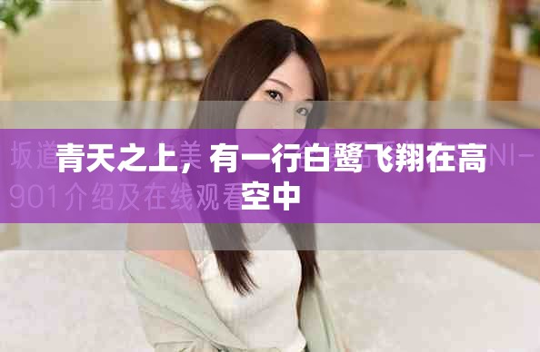 青天之上，有一行白鹭飞翔在高空中