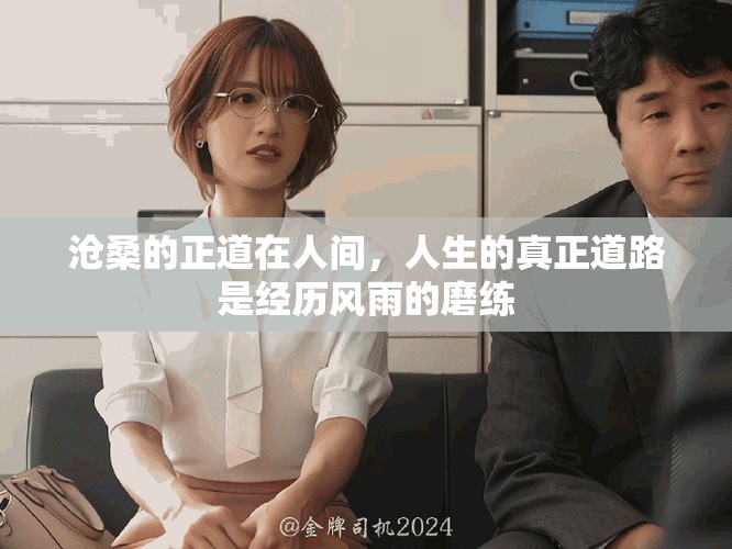 沧桑的正道在人间，人生的真正道路是经历风雨的磨练
