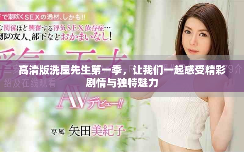 高清版洗屋先生第一季，让我们一起感受精彩剧情与独特魅力