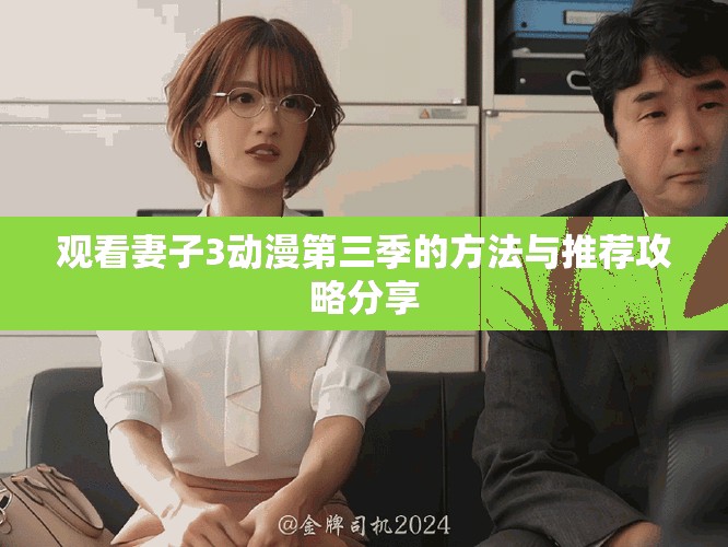 观看妻子3动漫第三季的方法与推荐攻略分享