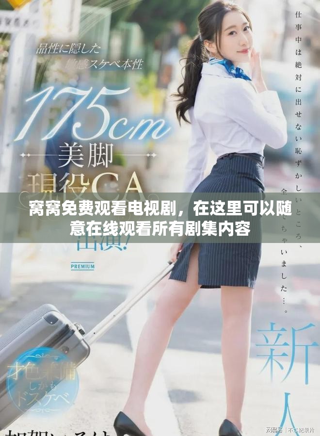 窝窝免费观看电视剧，在这里可以随意在线观看所有剧集内容