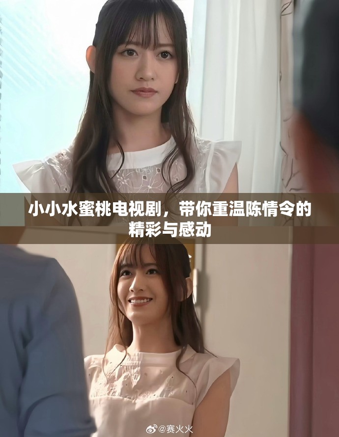小小水蜜桃电视剧，带你重温陈情令的精彩与感动