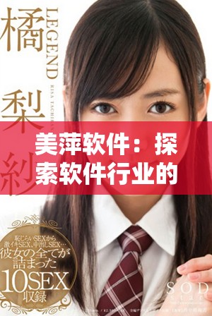 美萍软件：探索软件行业的创新与发展机遇之路