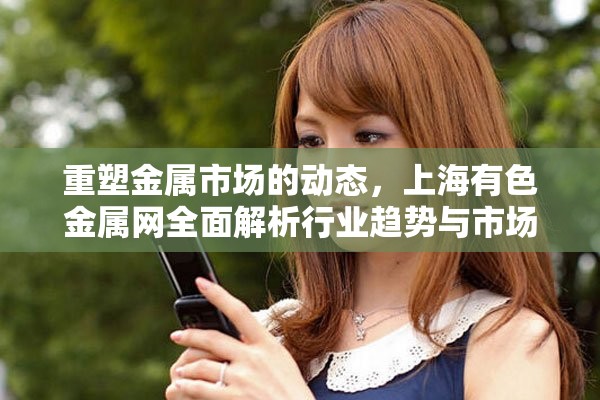 重塑金属市场的动态，上海有色金属网全面解析行业趋势与市场资讯
