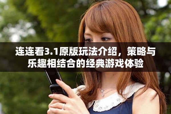 连连看3.1原版玩法介绍，策略与乐趣相结合的经典游戏体验