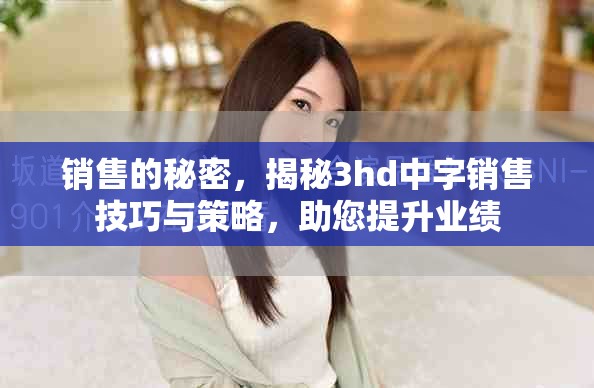 销售的秘密，揭秘3hd中字销售技巧与策略，助您提升业绩