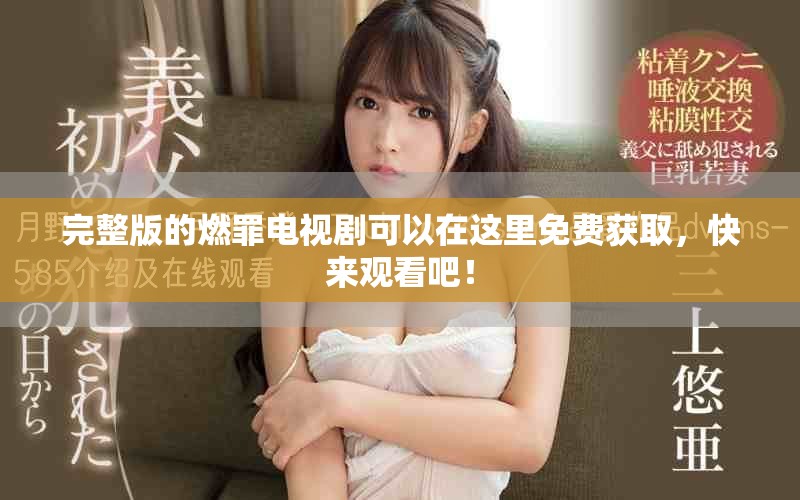完整版的燃罪电视剧可以在这里免费获取，快来观看吧！