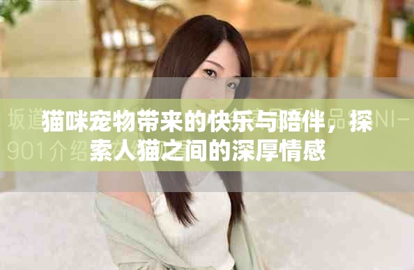 猫咪宠物带来的快乐与陪伴，探索人猫之间的深厚情感