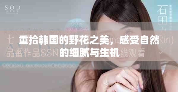 重拾韩国的野花之美，感受自然的细腻与生机