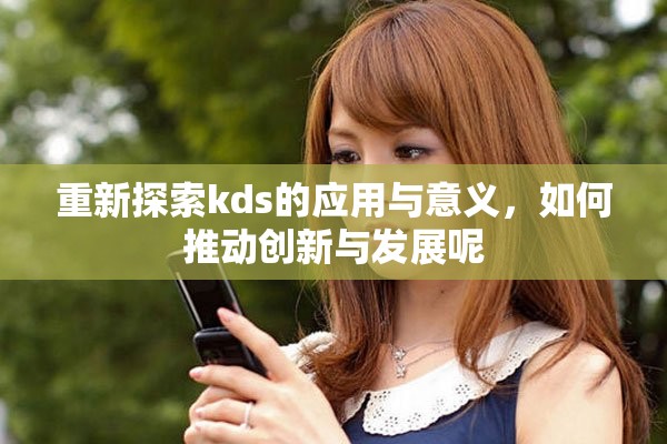 重新探索kds的应用与意义，如何推动创新与发展呢