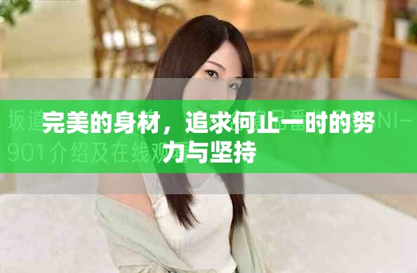 完美的身材，追求何止一时的努力与坚持