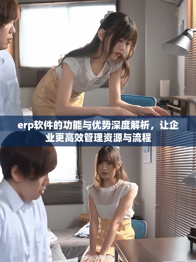 erp软件的功能与优势深度解析，让企业更高效管理资源与流程