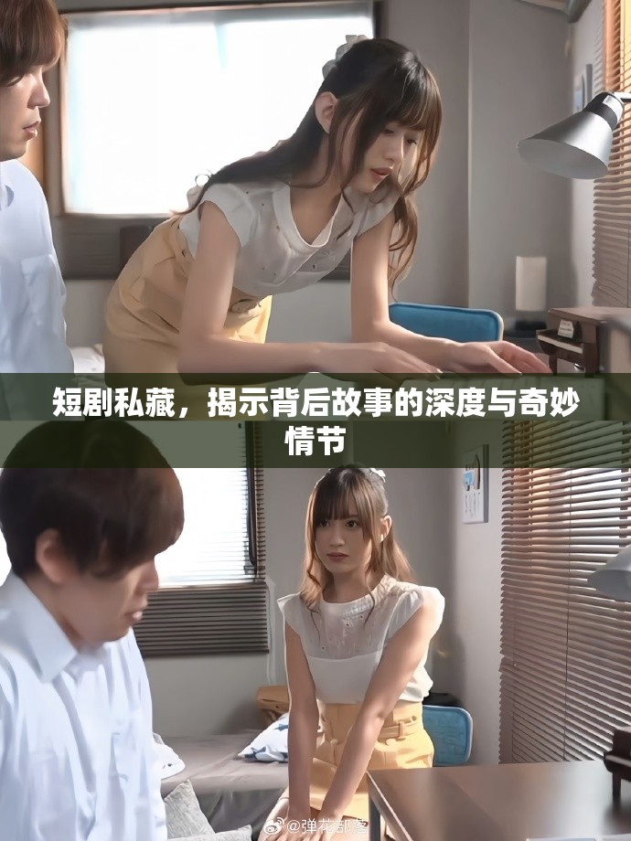 短剧私藏，揭示背后故事的深度与奇妙情节