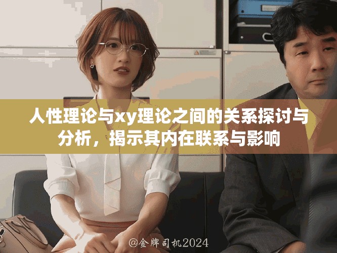 人性理论与xy理论之间的关系探讨与分析，揭示其内在联系与影响