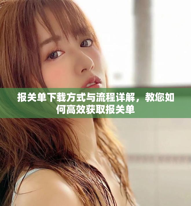 报关单下载方式与流程详解，教您如何高效获取报关单