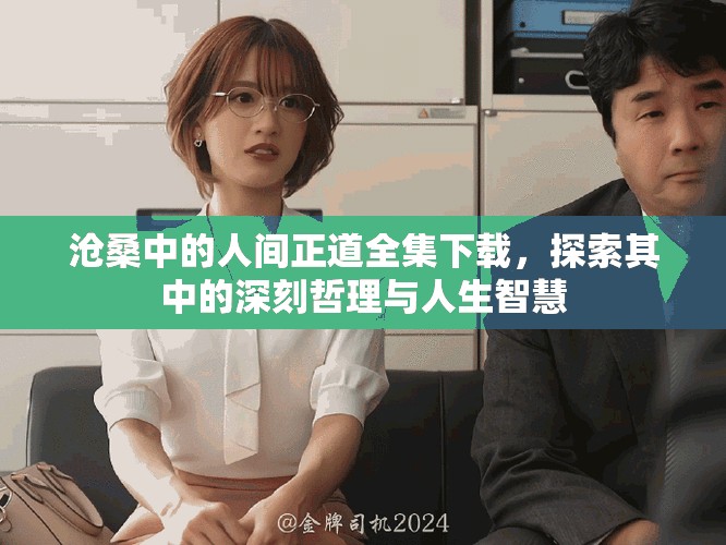 沧桑中的人间正道全集下载，探索其中的深刻哲理与人生智慧
