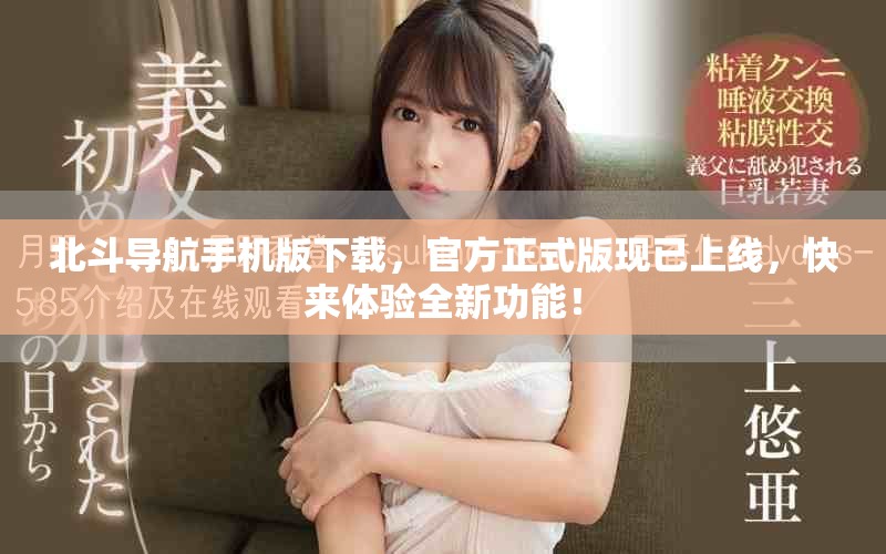 北斗导航手机版下载，官方正式版现已上线，快来体验全新功能！