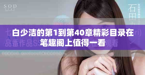 白少洁的第1到第40章精彩目录在笔趣阁上值得一看