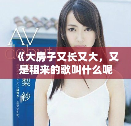 《大房子又长又大，又是租来的歌叫什么呢》