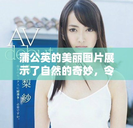 蒲公英的美丽图片展示了自然的奇妙，令人心生向往的画面。